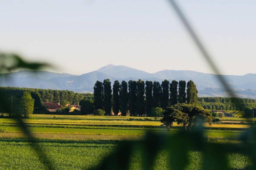 La Casa Nei Campi Βίλα Badia Pavese Εξωτερικό φωτογραφία