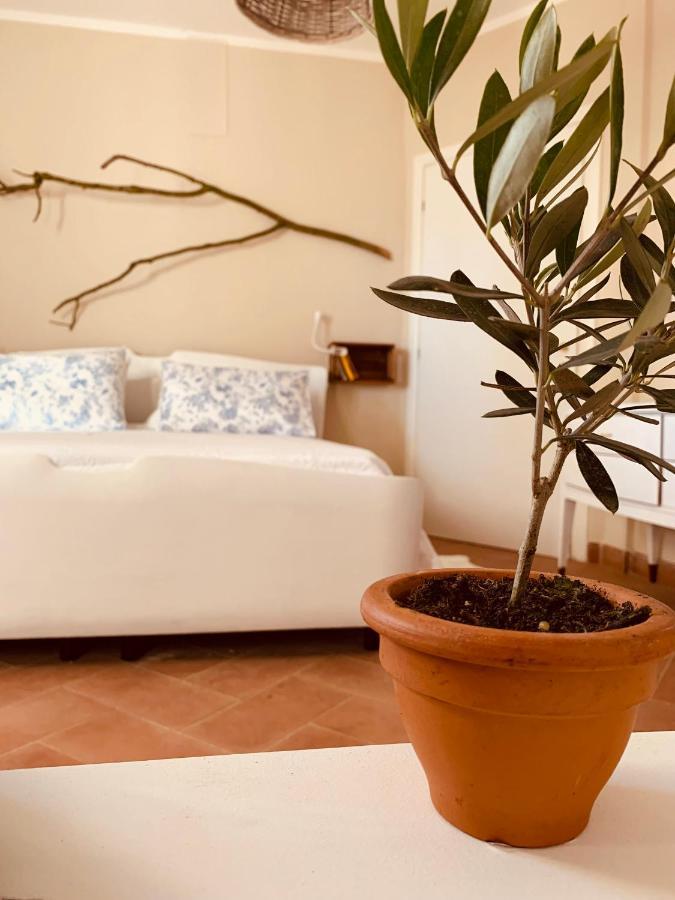 La Casa Nei Campi Βίλα Badia Pavese Εξωτερικό φωτογραφία