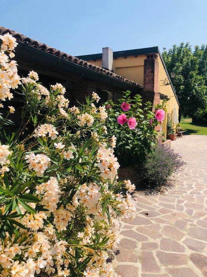 La Casa Nei Campi Βίλα Badia Pavese Εξωτερικό φωτογραφία